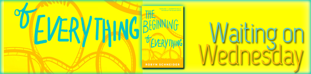 The Beginning of Everything by Robyn Schneider 