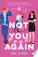 Not You Again by Erin La Rosa